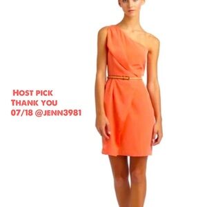 Sachin Babi Davie size two mini dress-New